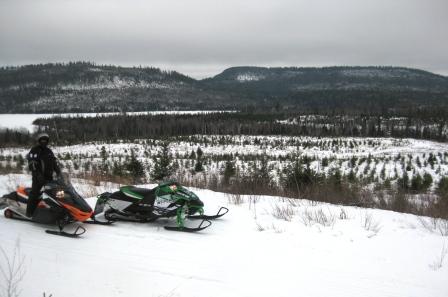 Overlooking Moose Lake Overlooking Moose Lake