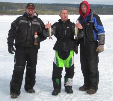 Lake Trout treats Lake Trout treats