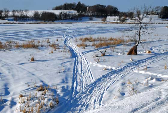 Snowmobile Tracks Snowmobile Tracks