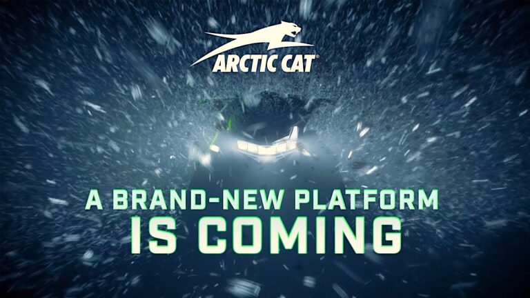 2024 ARCTIC CAT CATALYST AD